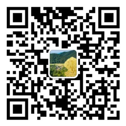 红彩会平台